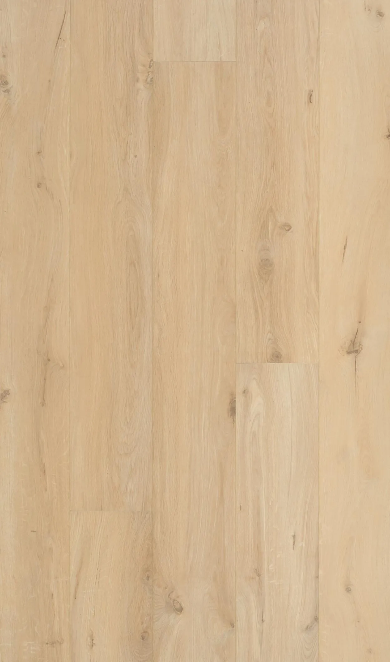 Berryalloc connect xl gyant sand natural laminatgulv