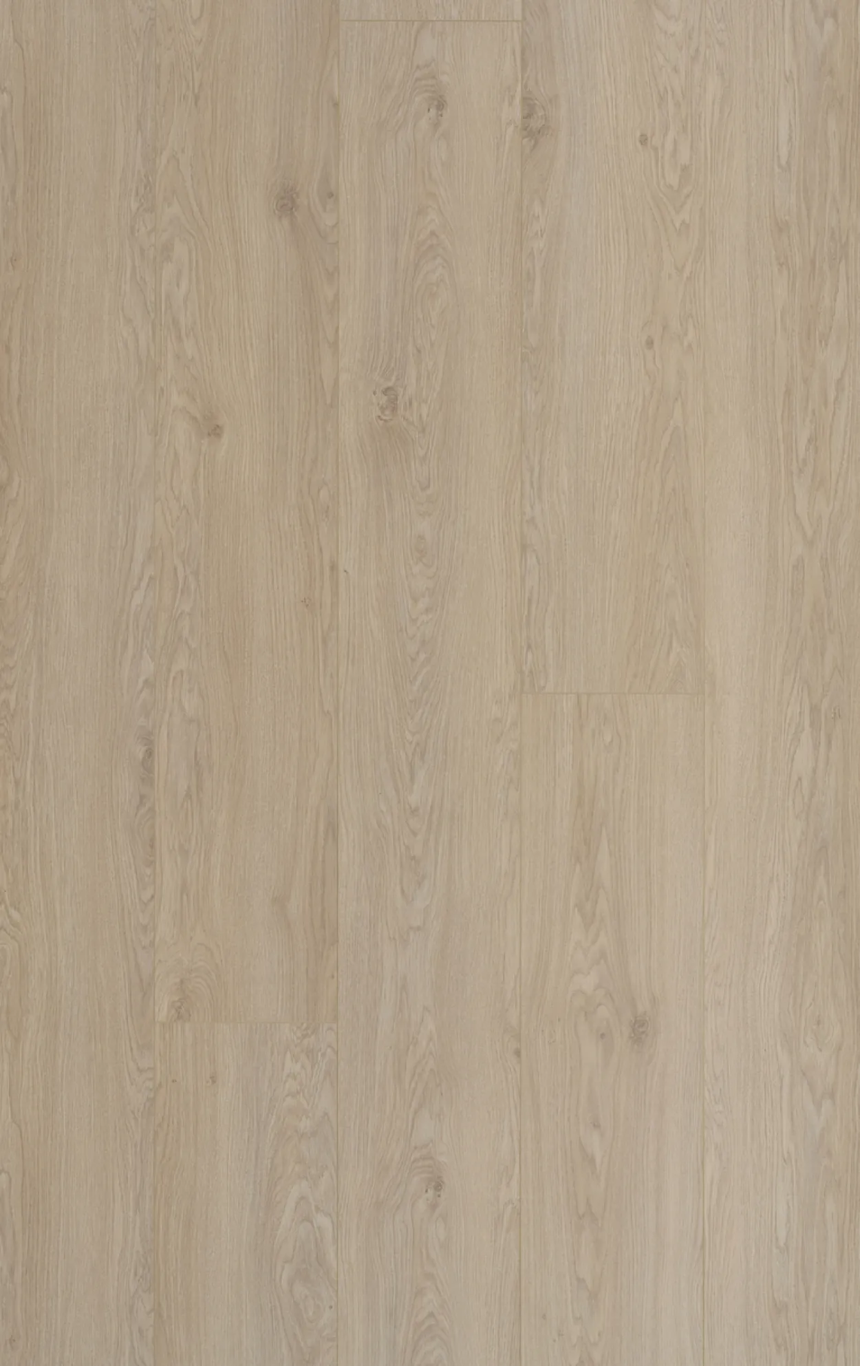 Berryalloc trendline 8 xl lily oak laminatgulv