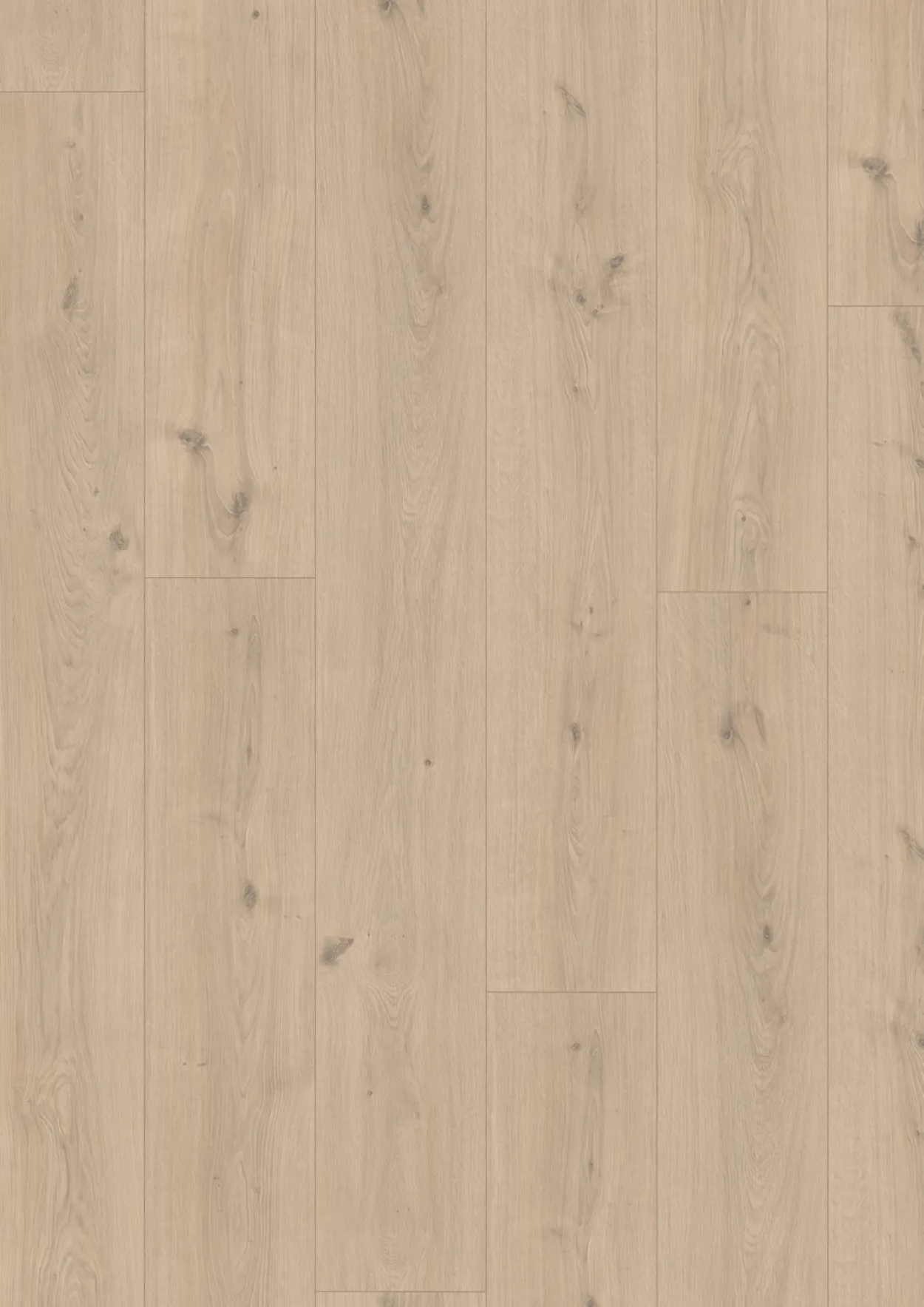 Egger cream seefeld oak laminatgulv