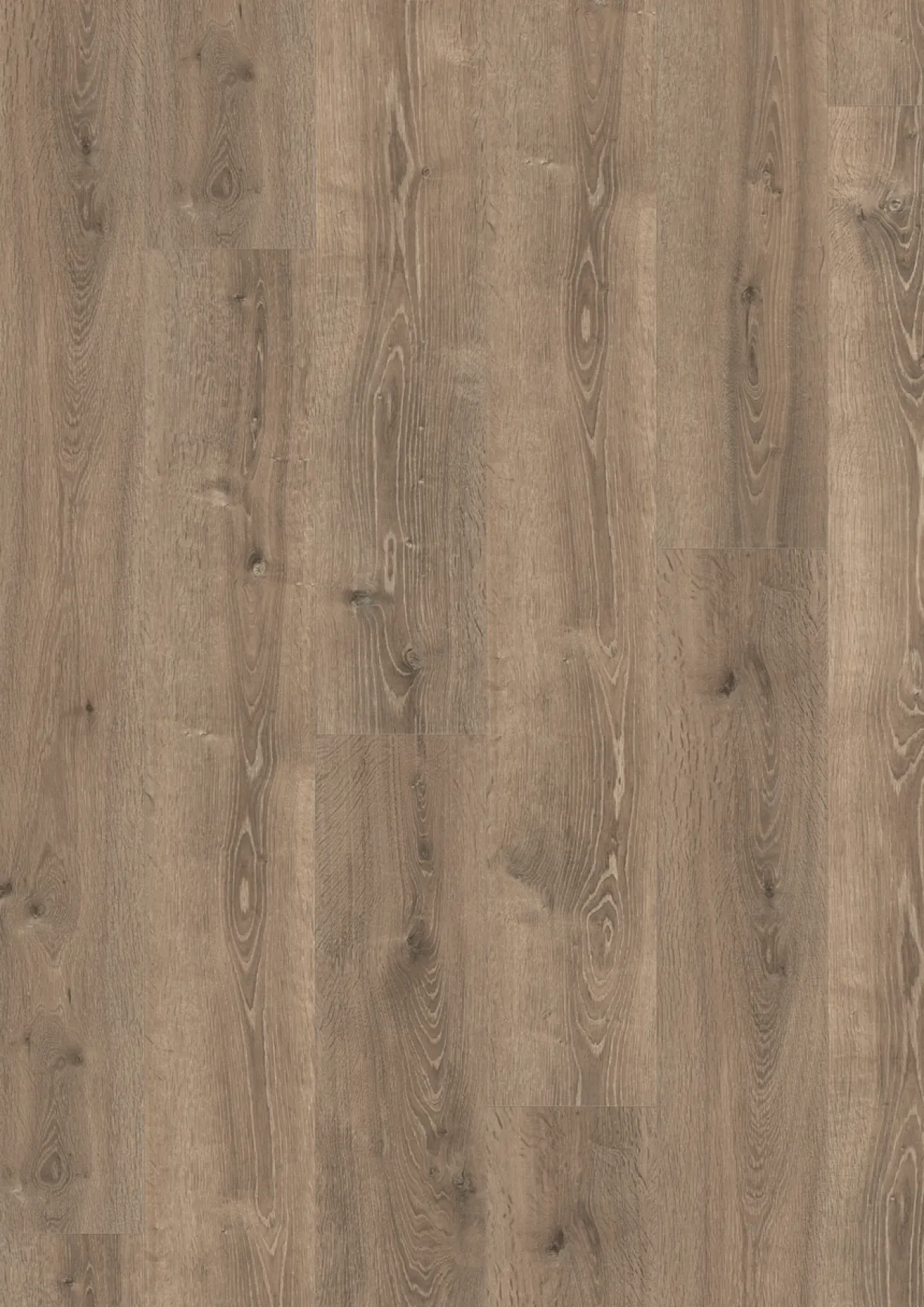 Egger grey bayford oak laminatgulv