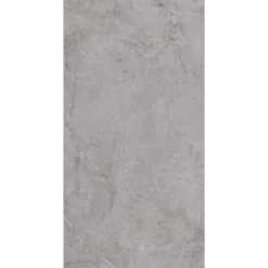 Evolution grey 60x120 9,5mm