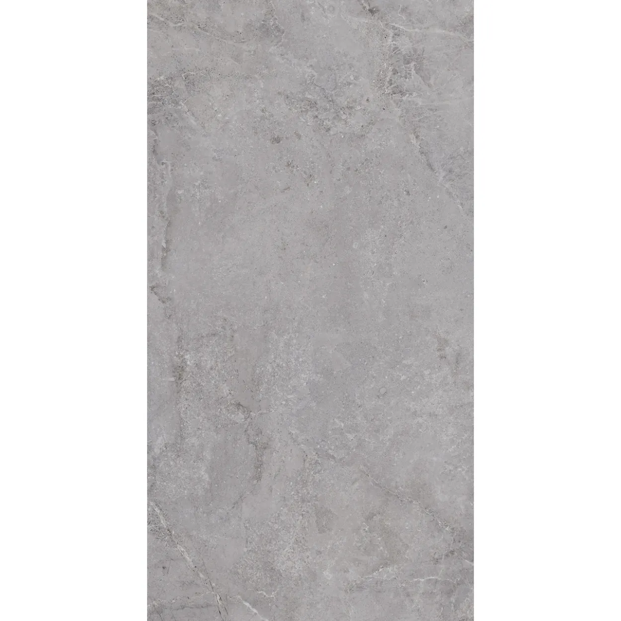 Evolution grey 60x120 9,5mm