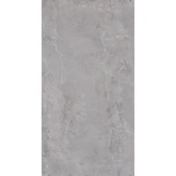 Evolution grey 60x120 9,5mm