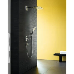 Hansgrohe fixfit slangeuttak m/tilbakesagsventil og kuleledd