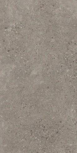 Konkrete cenere 60x120 9,5mm