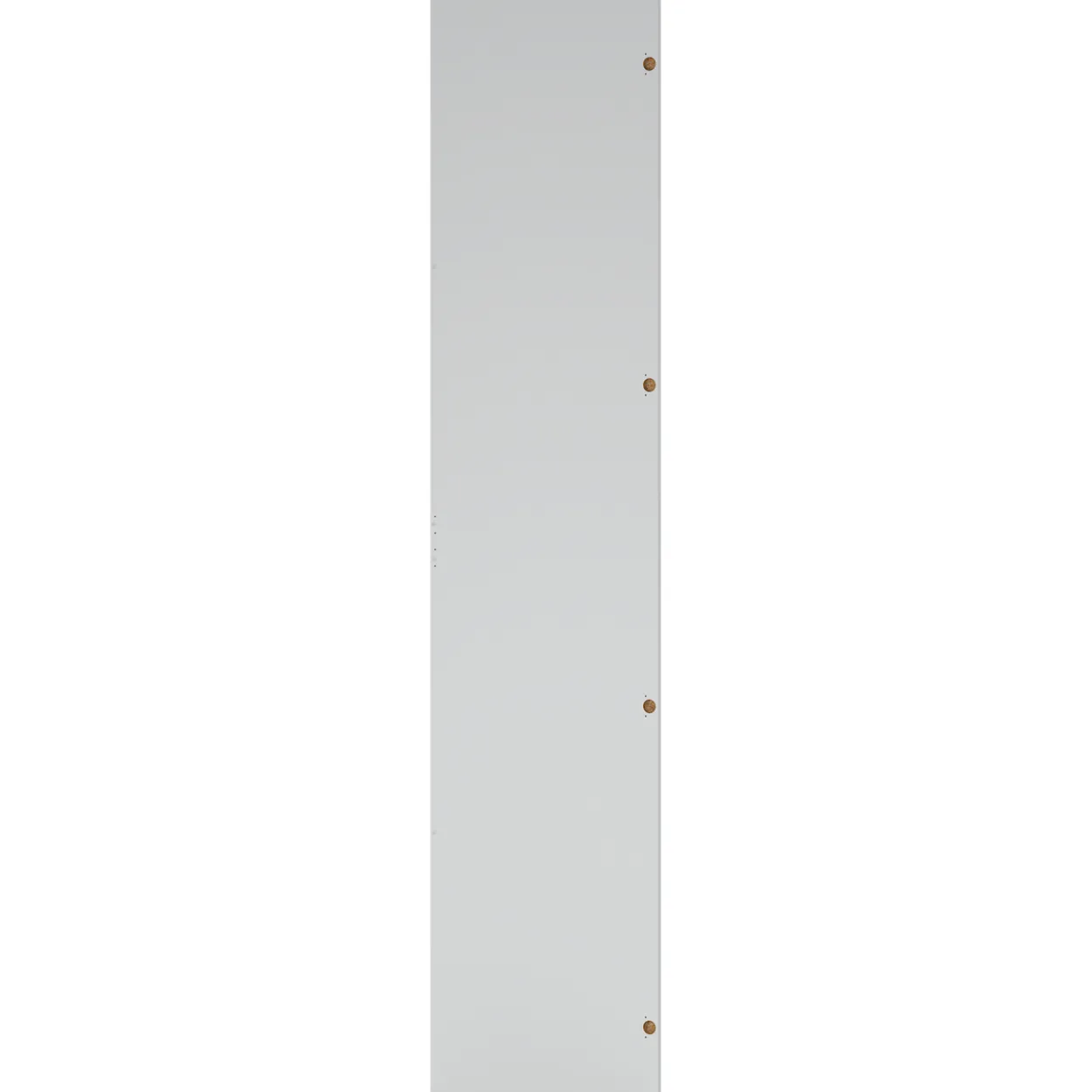 Lind nest dør speil 50x220