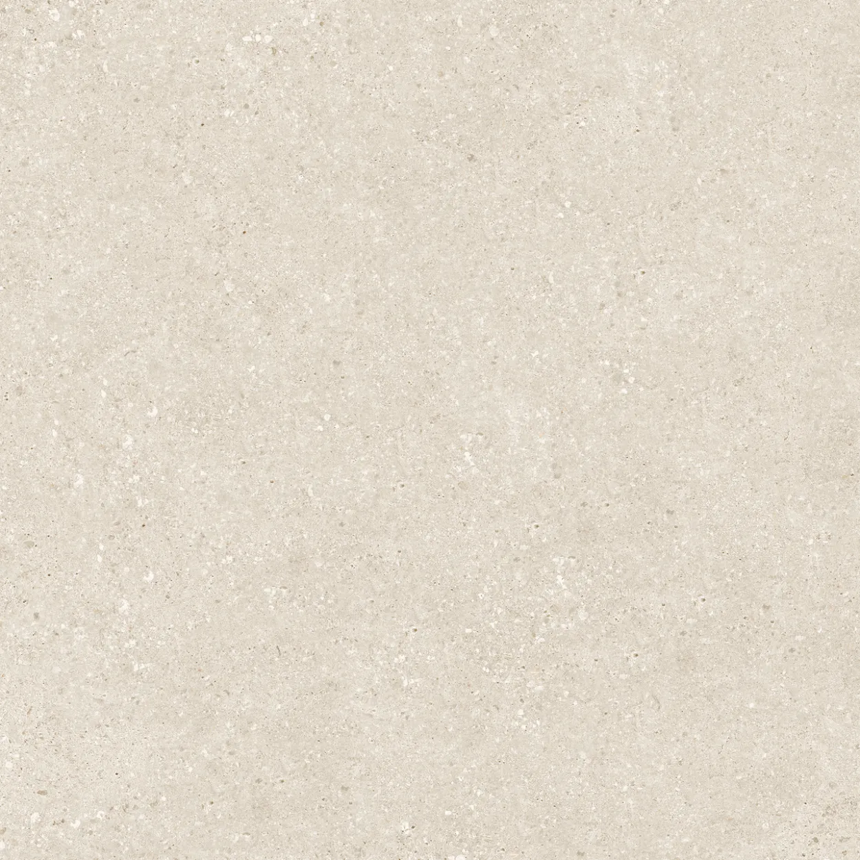 Stadium bone 60x120 10,5mm